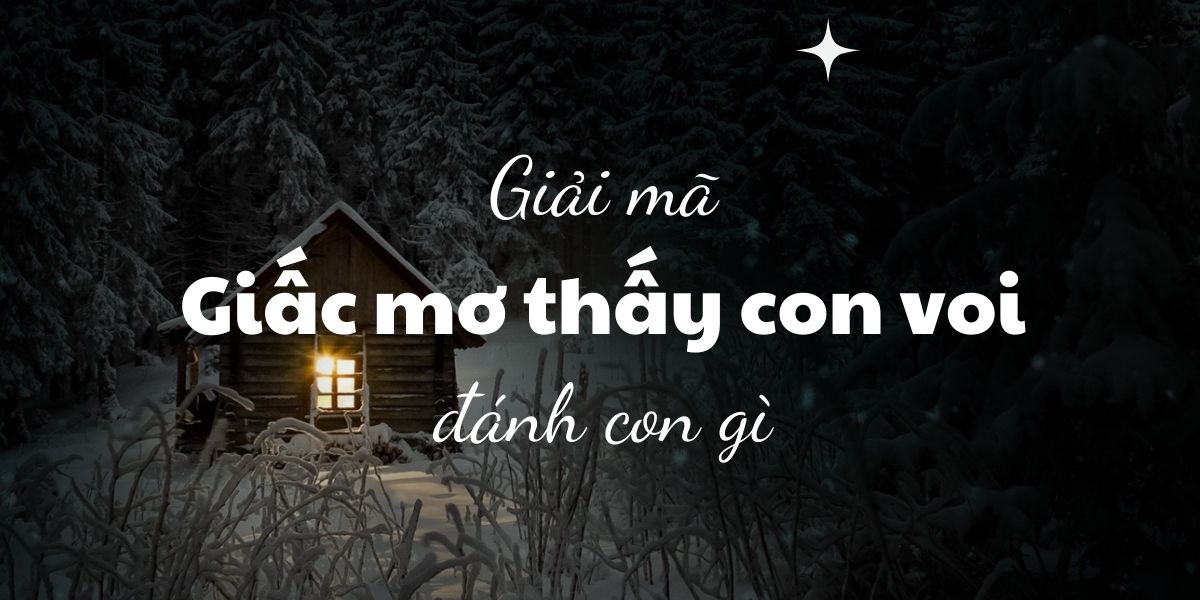 giải mã giấc mơ thấy con voi