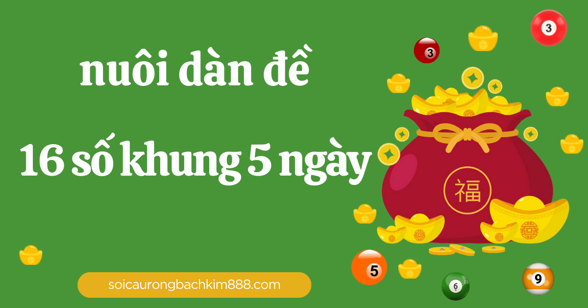 nuôi dàn đề 16 số khung 5 ngày