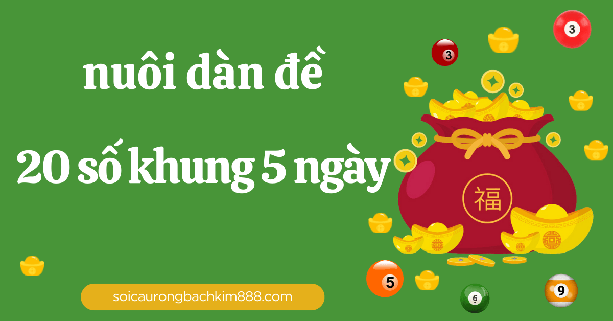 nuôi dàn đề 20 số khung 5 ngày