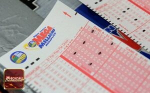 Bạch thủ lô rồng bạch kim chủ nhật tham khảo dễ hiểu – ảnh thống kê tham khảo