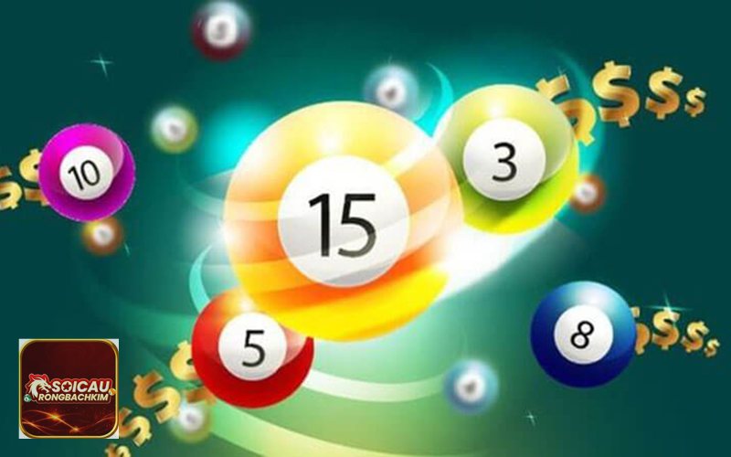 Soi cầu rồng bạch kim Hải Phòng thứ 3 - Có nên ưu tiên số gan?